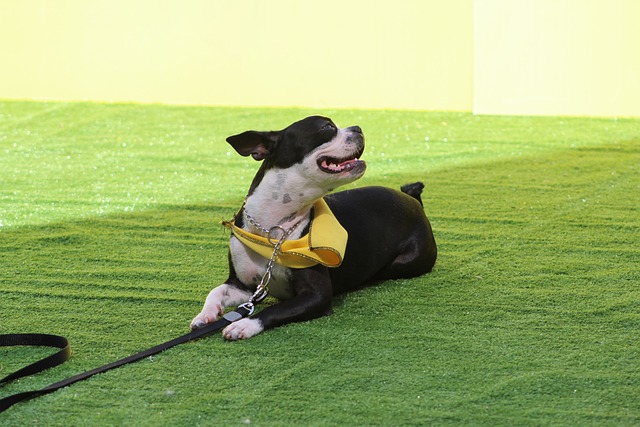问题 问题